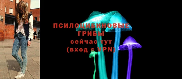 ешки Абаза