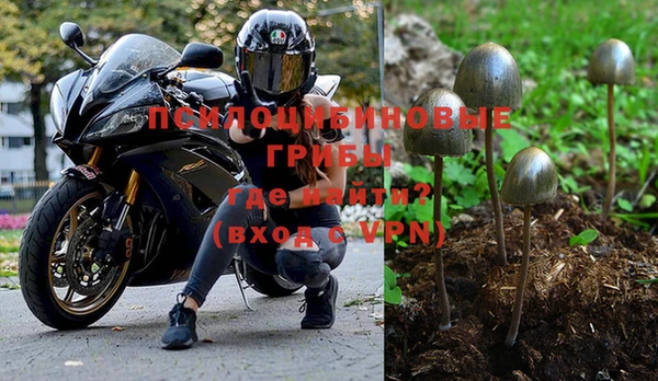 ешки Абаза