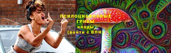 ешки Абаза